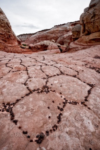 Moqui Marbles that have broken away from the earth naturally find their way in the crevices